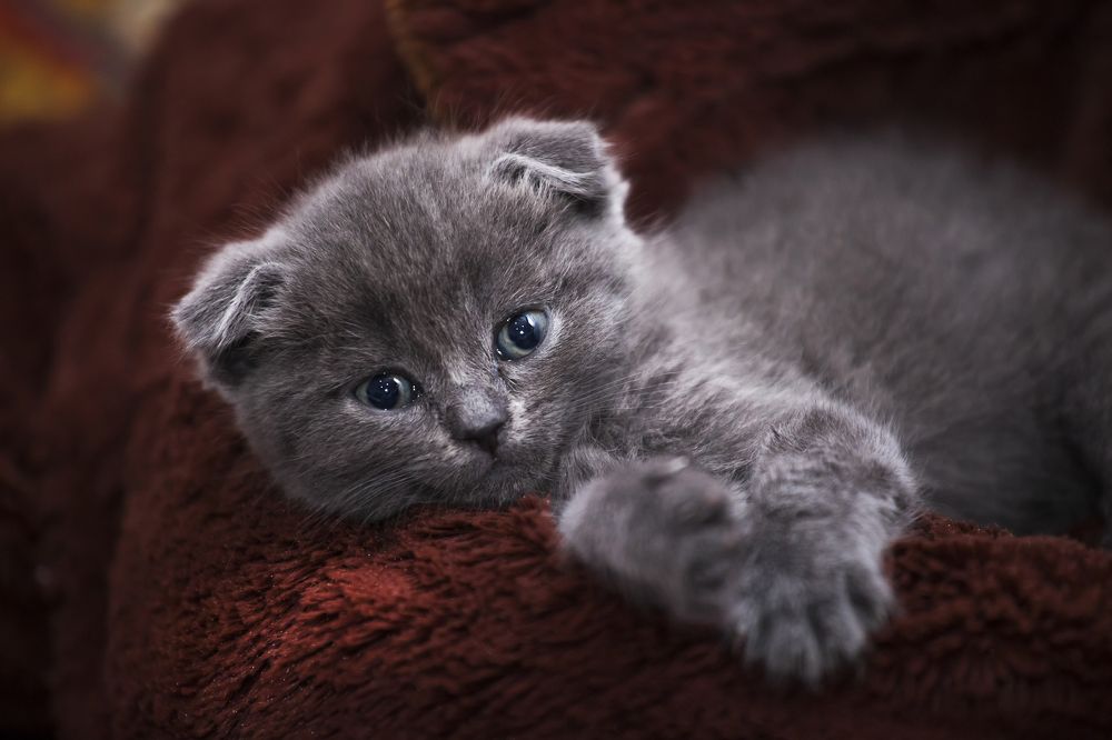 Photograph by Ирина Кузькина