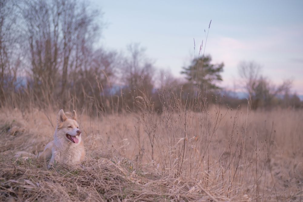 Photograph by Liguanna Anna