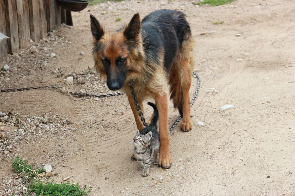 Photograph by Анна-Лаймуте Милошевич