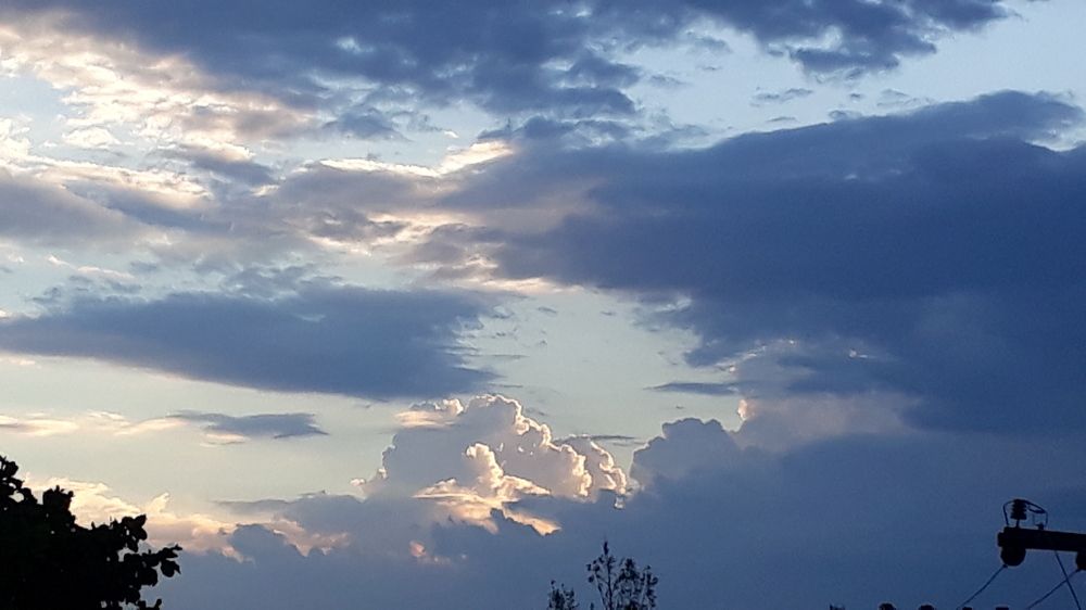 Photo #6072264