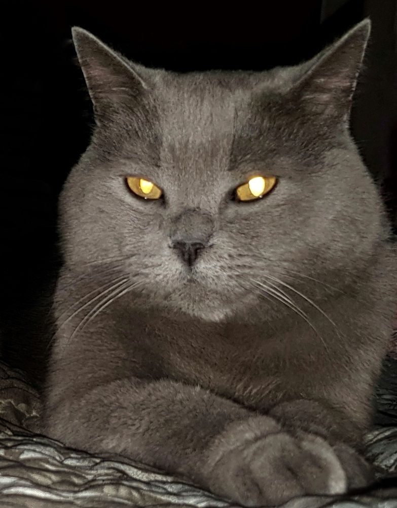 Photograph by Татьяна Мельникова