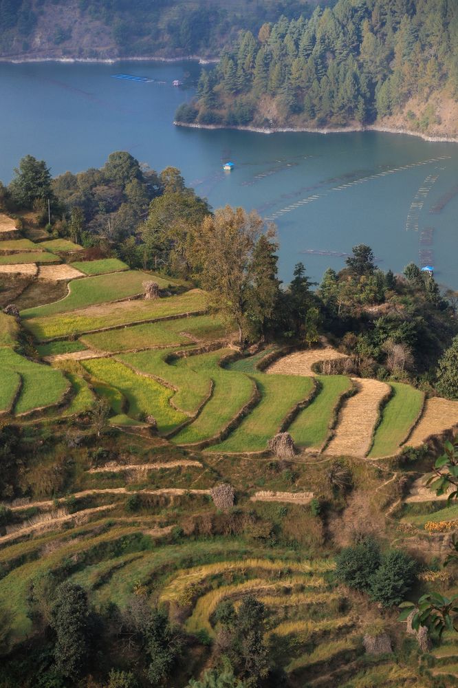 Lakeside Lanscape Nepal
