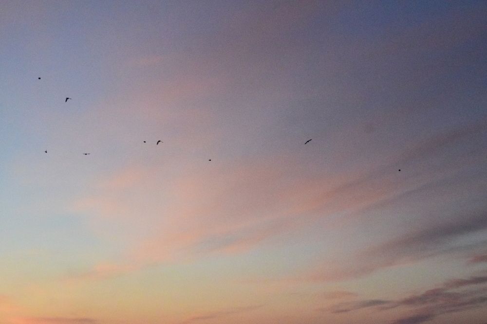 Photograph by Ekaterina