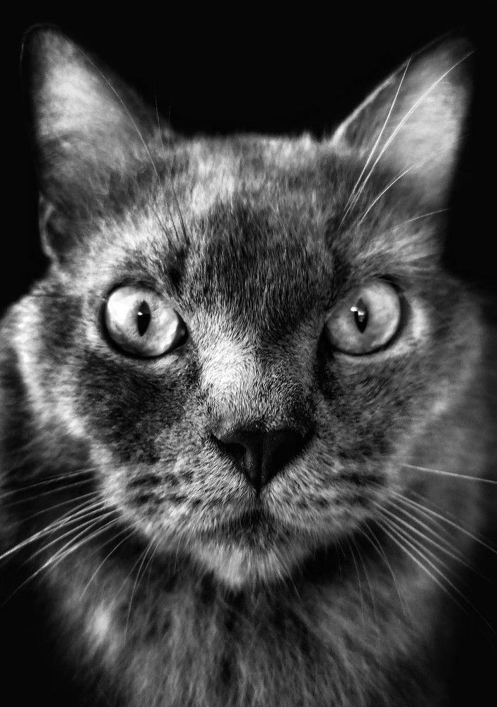 Photograph by Muhammad Faizal Hidayah Putra