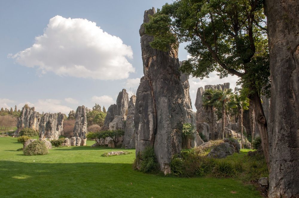 Photograph by Denis Starchikov