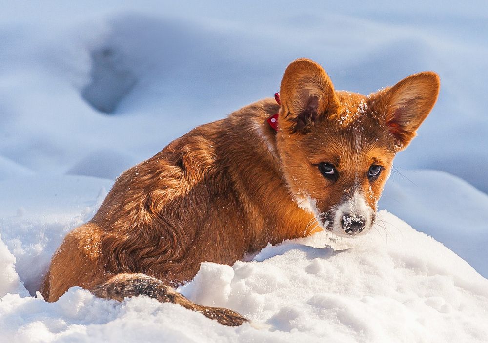 Photograph by Лариса Максименко