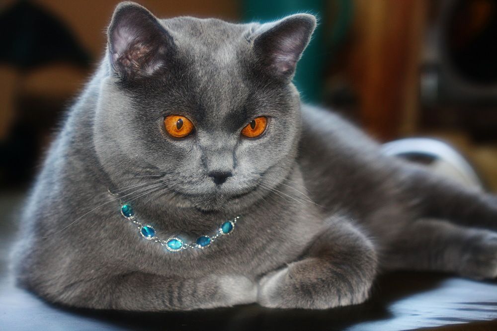 Photograph by Константин Лагоденко