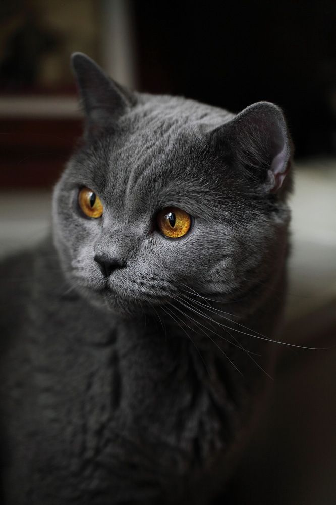 Photograph by Константин Лагоденко