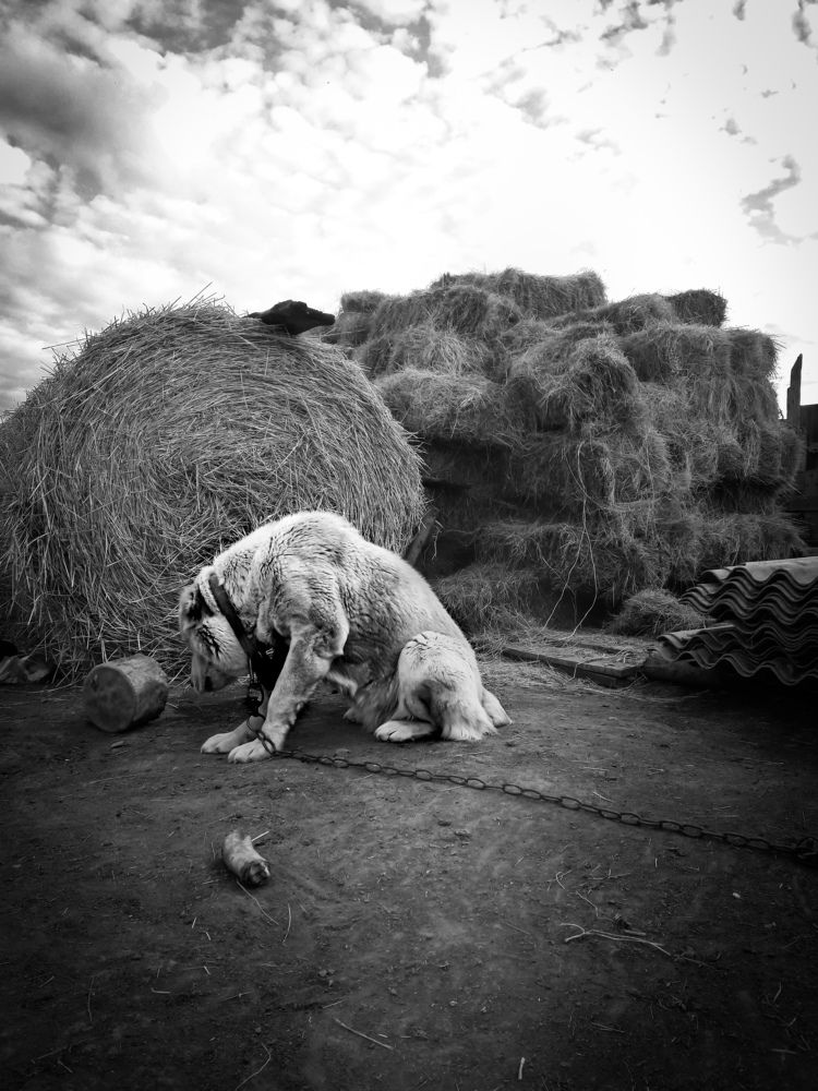 Photograph by Юлия Мишина