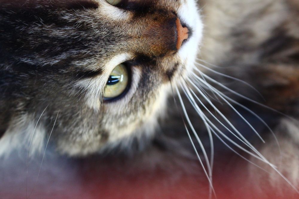 Photograph by Виталина Мельникова