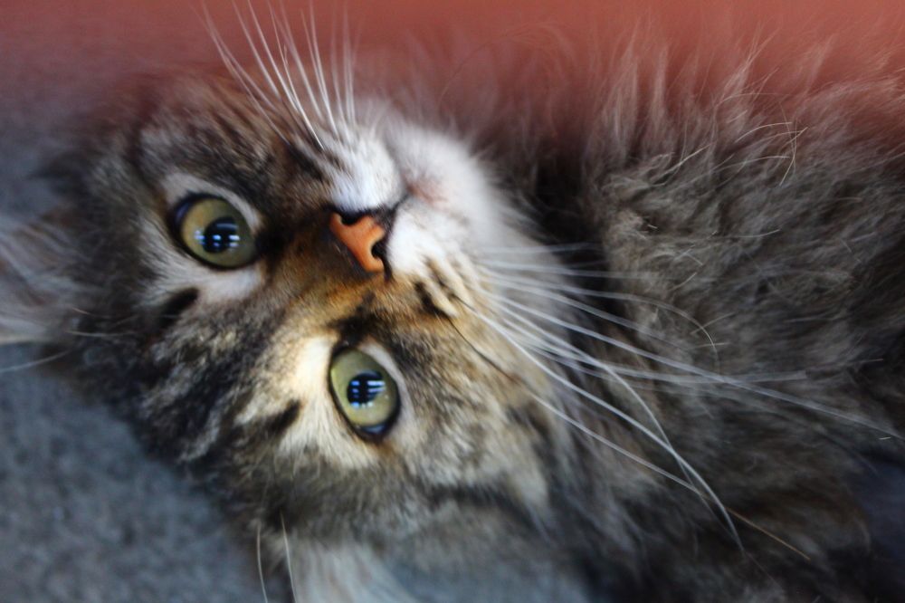 Photograph by Виталина Мельникова