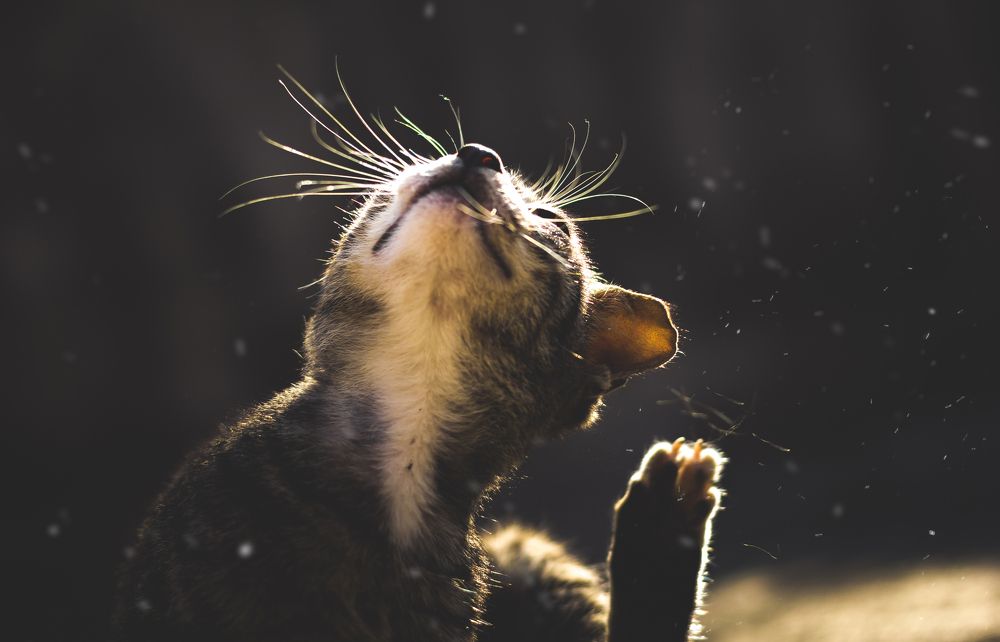 Photograph by Minh Chu Van