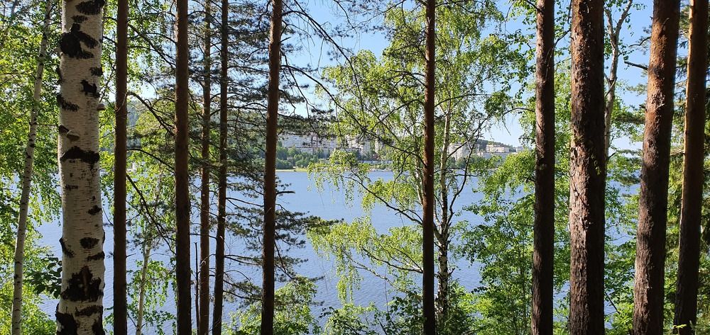 Там, за горизонтом.