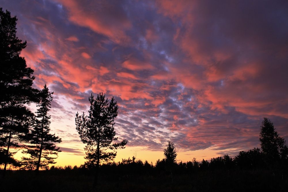 Photograph by Леунина Людмила