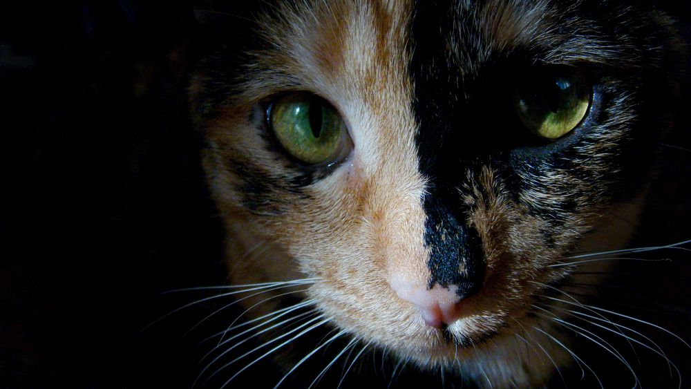 Photograph by Tatevik Tananyan