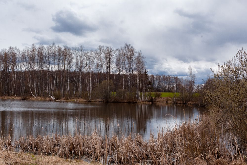 Photograph by Ольга Мокробородова