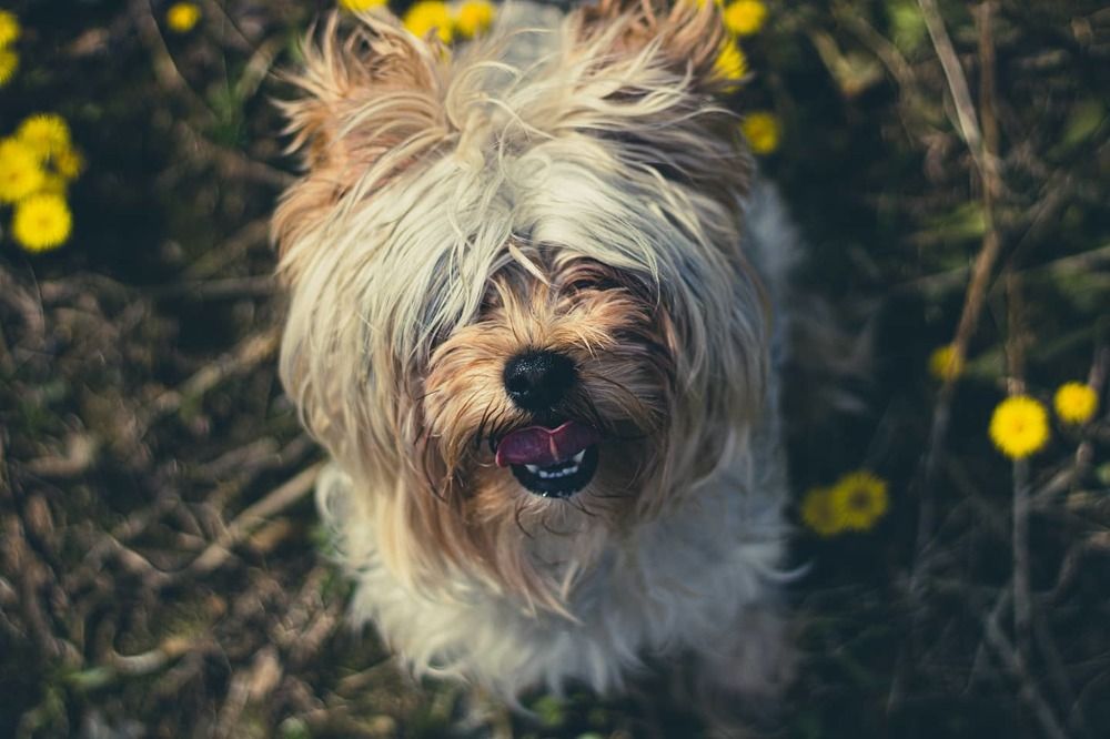 Photograph by Артем Деревенский