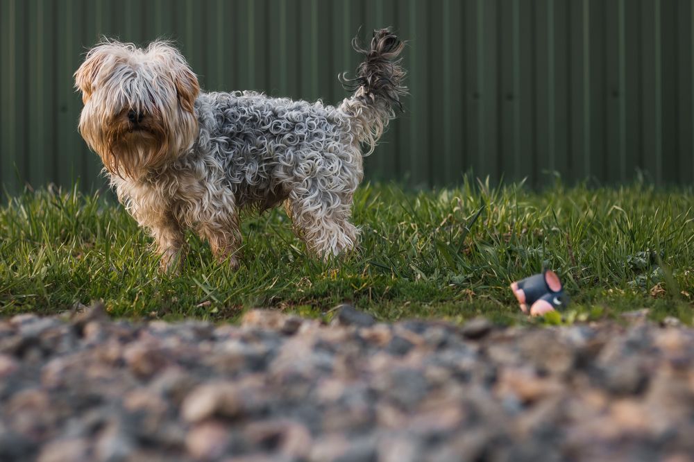 Photograph by Артем Деревенский