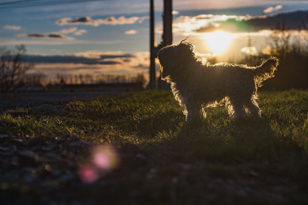 Photograph by Артем Деревенский