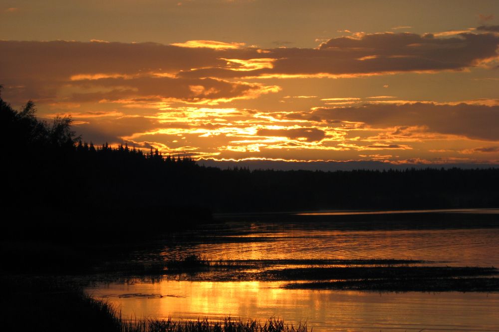 Фотография автора Adrian Wolf