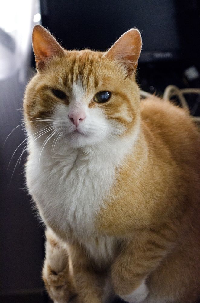 Photograph by Юлия Лупанова