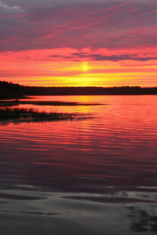 Фотография автора Adrian Wolf