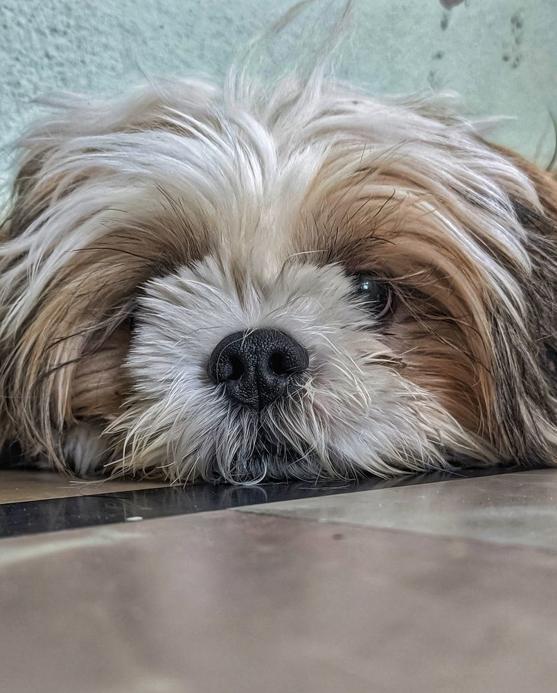 Photograph by Vijayakumar