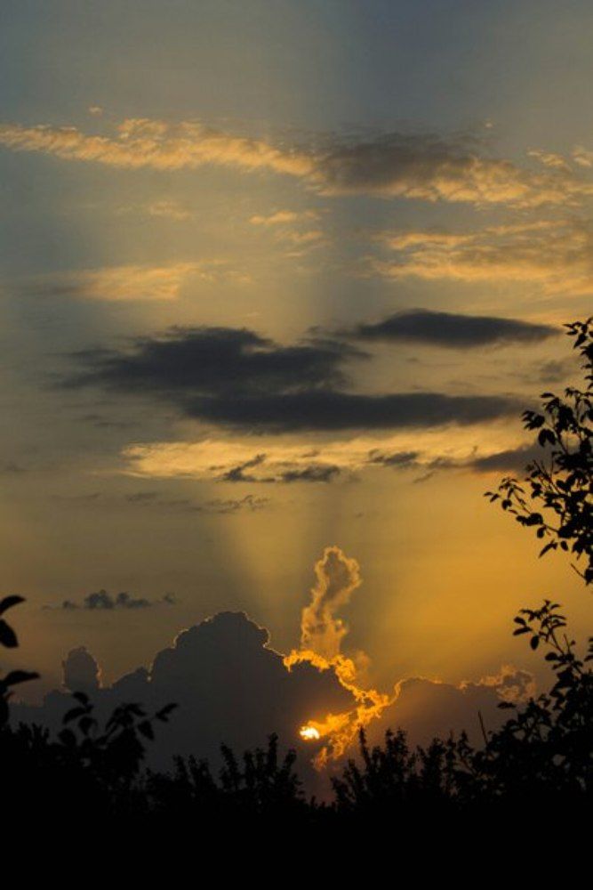 Photograph by Лис Ната