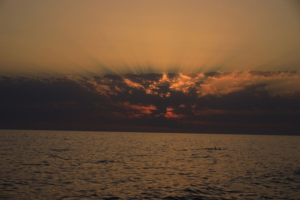 Photograph by Склярова Анастасия