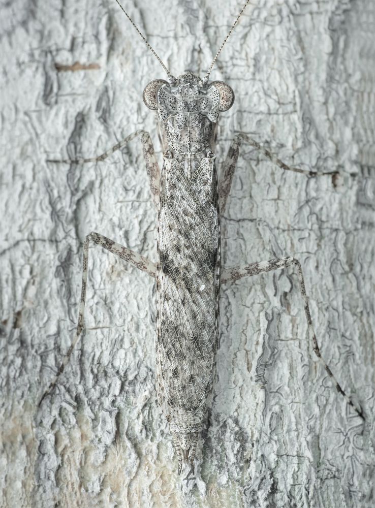 Photograph by VOON YIAN KHIAM