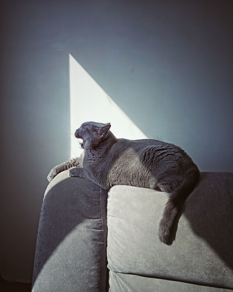 Photograph by Ирина Тарасенко