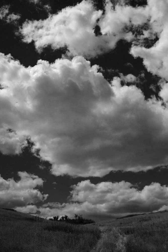 Photograph by Сафин Сергей