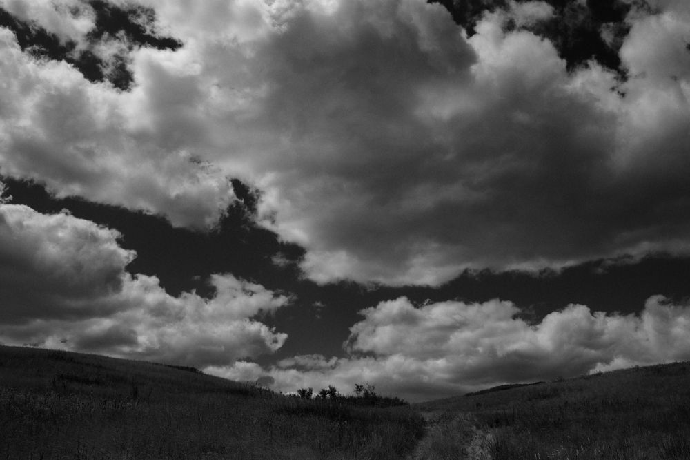 Photograph by Сафин Сергей