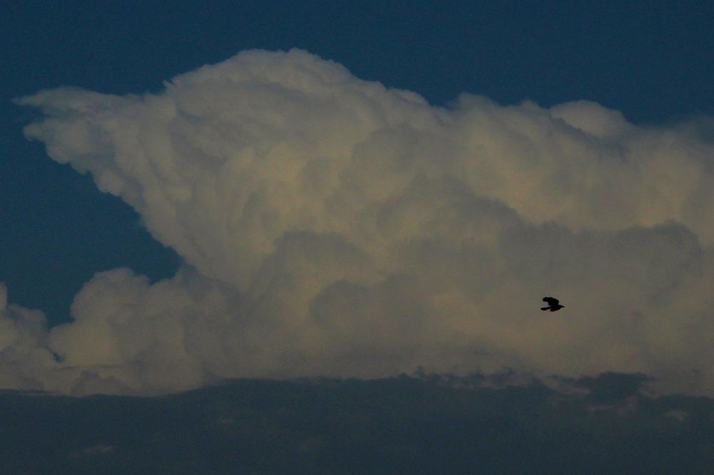 Fighting with clouds
