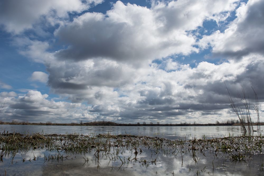 Photograph by Елена Плотникова