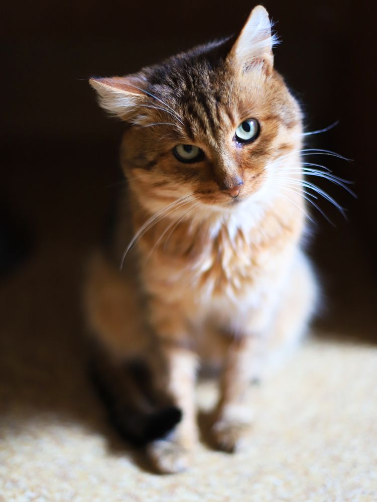 Photograph by Анастасия Русских