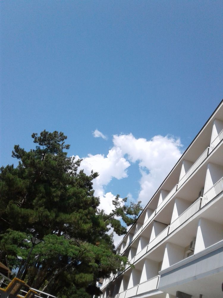 Photograph by Елена