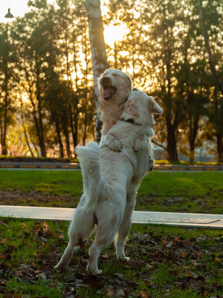 Photograph by Галина Сычева