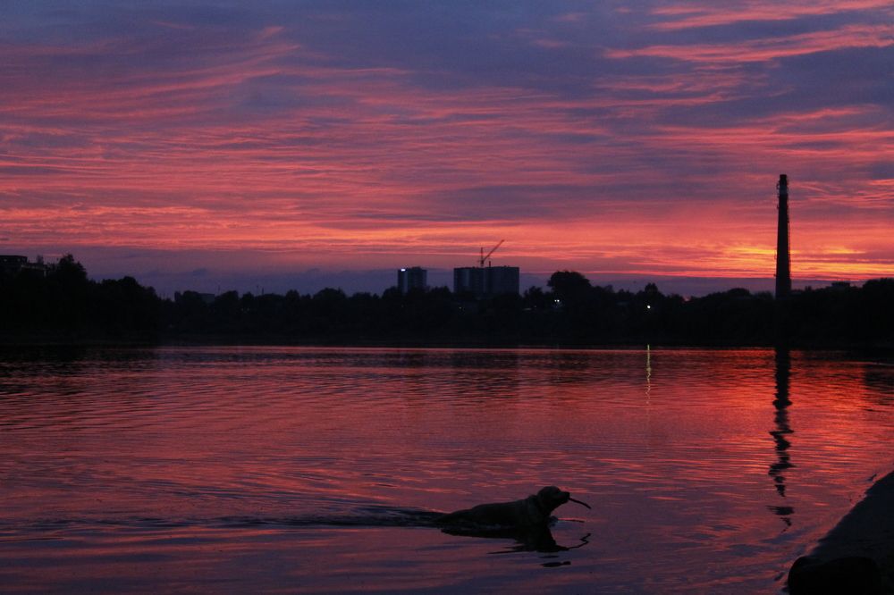 Photograph by Лис Ната