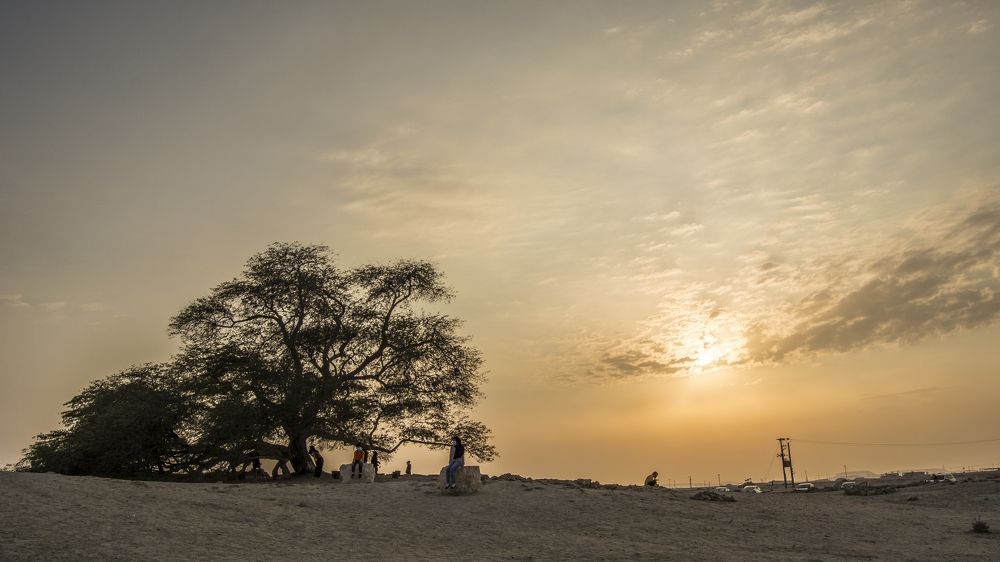 Фотография автора elias al sairafi