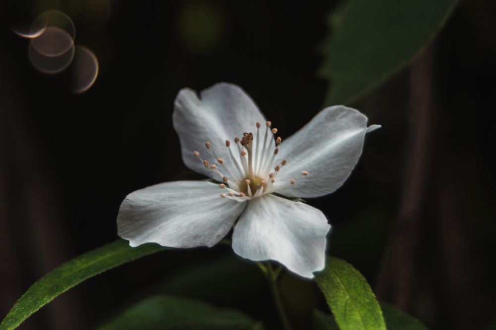 Photograph by Неля Тананайко-Малушка