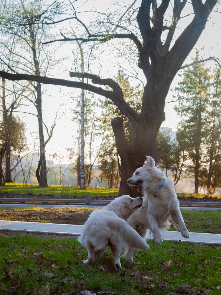 Photograph by Галина Сычева