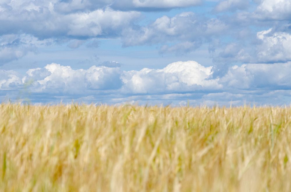 Photograph by Наталья Скиданова