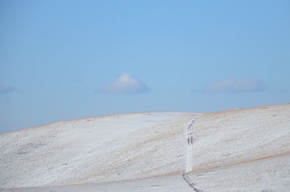 Photograph by Наталья Скиданова