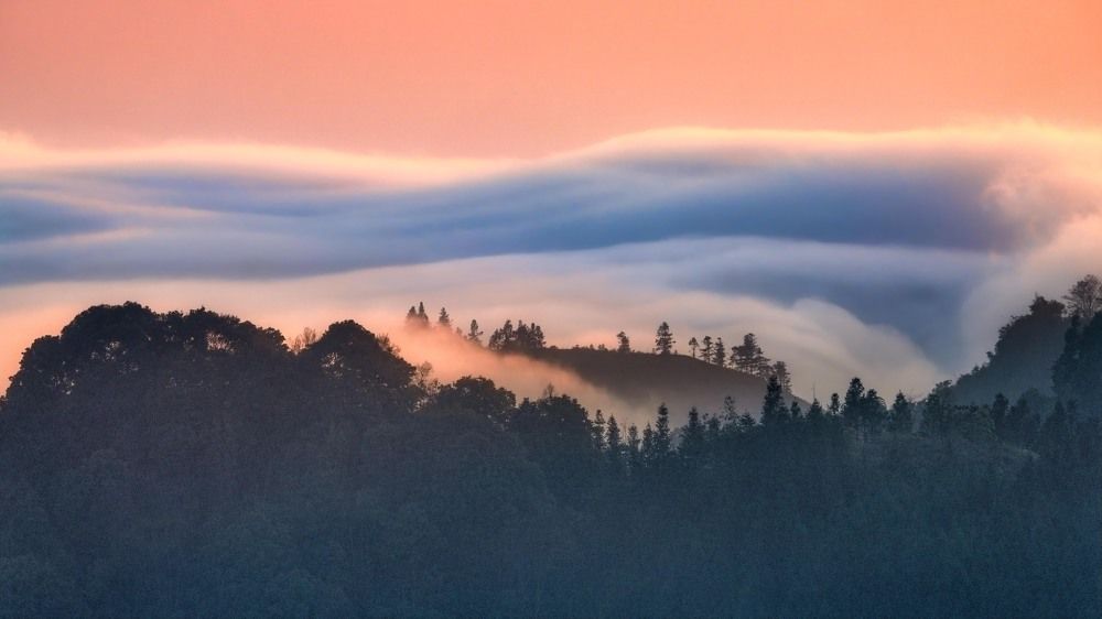 Photograph by Thinh Phu Nguyen