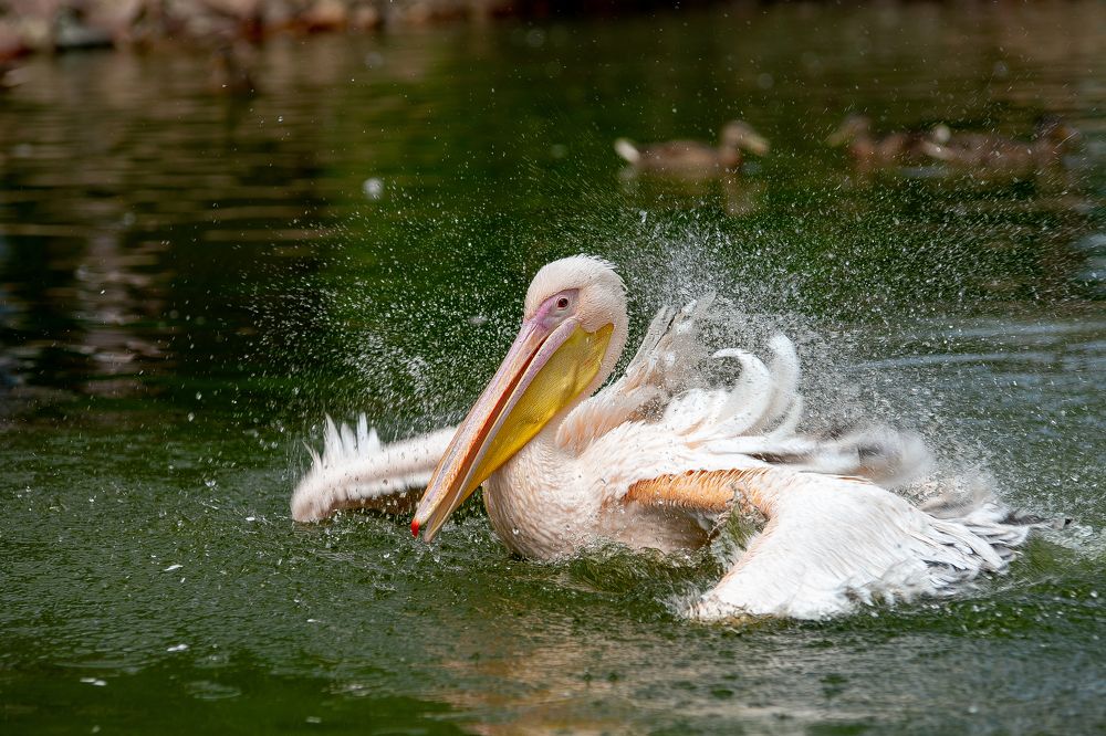 Photograph by Андрей Наживин