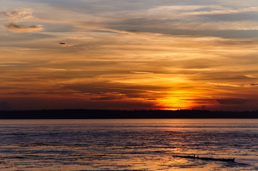 Photograph by Николай Лагоденко