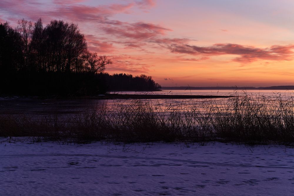 Photograph by Николай Лагоденко