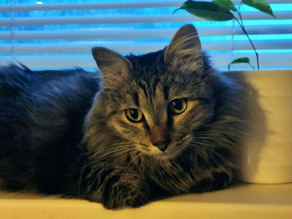 Photograph by Светлана Полякова