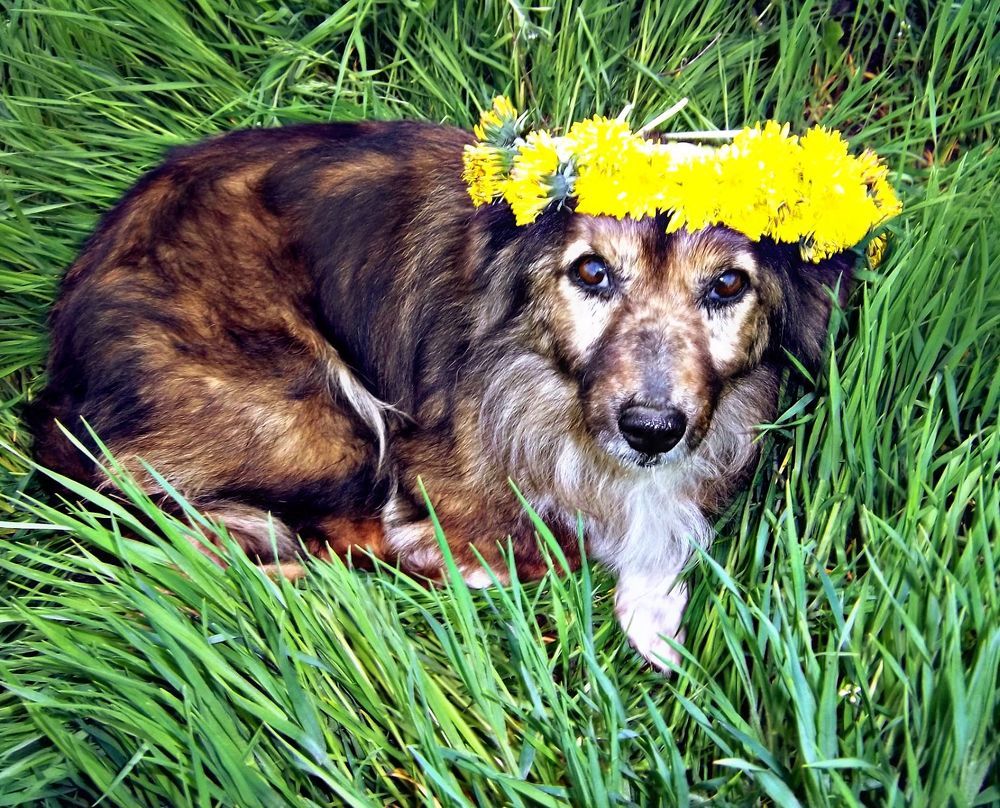 Photograph by Татьяна Королёва
